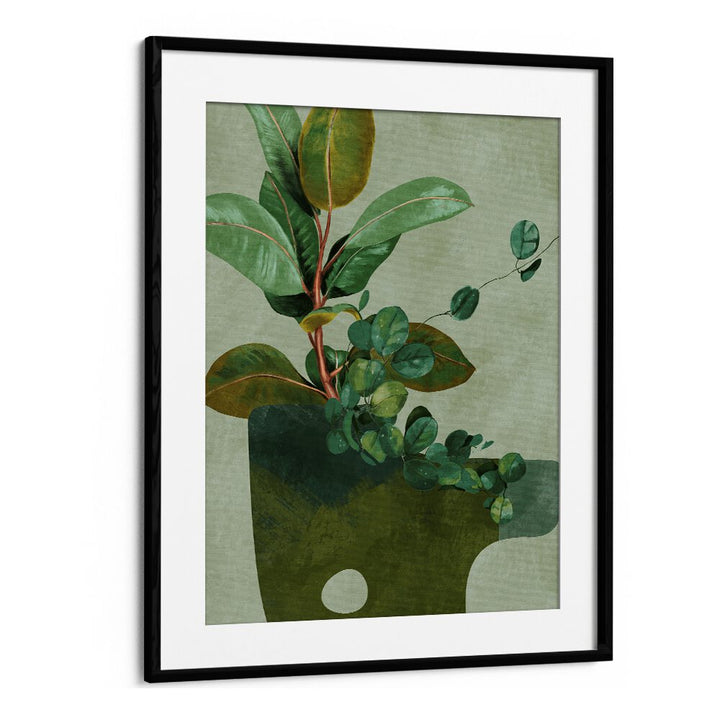 leaves more xii by ana rut bre botanical art prints in Black Frame With Mount