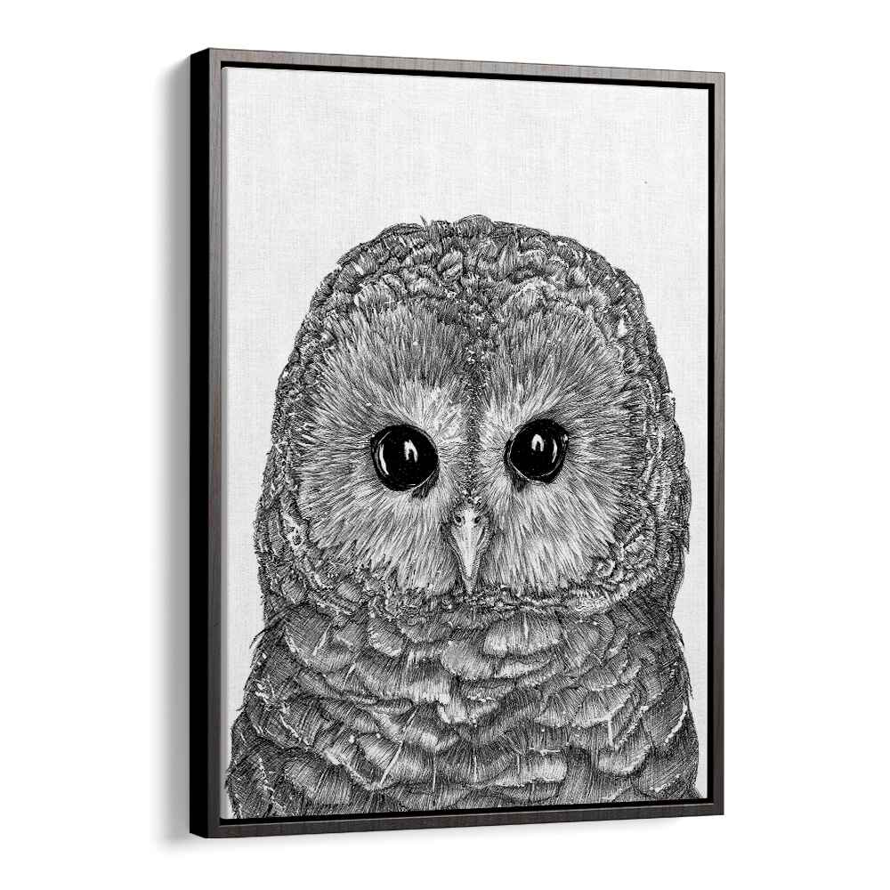 little owl duvet Vintage paintings in Black Floater Frame