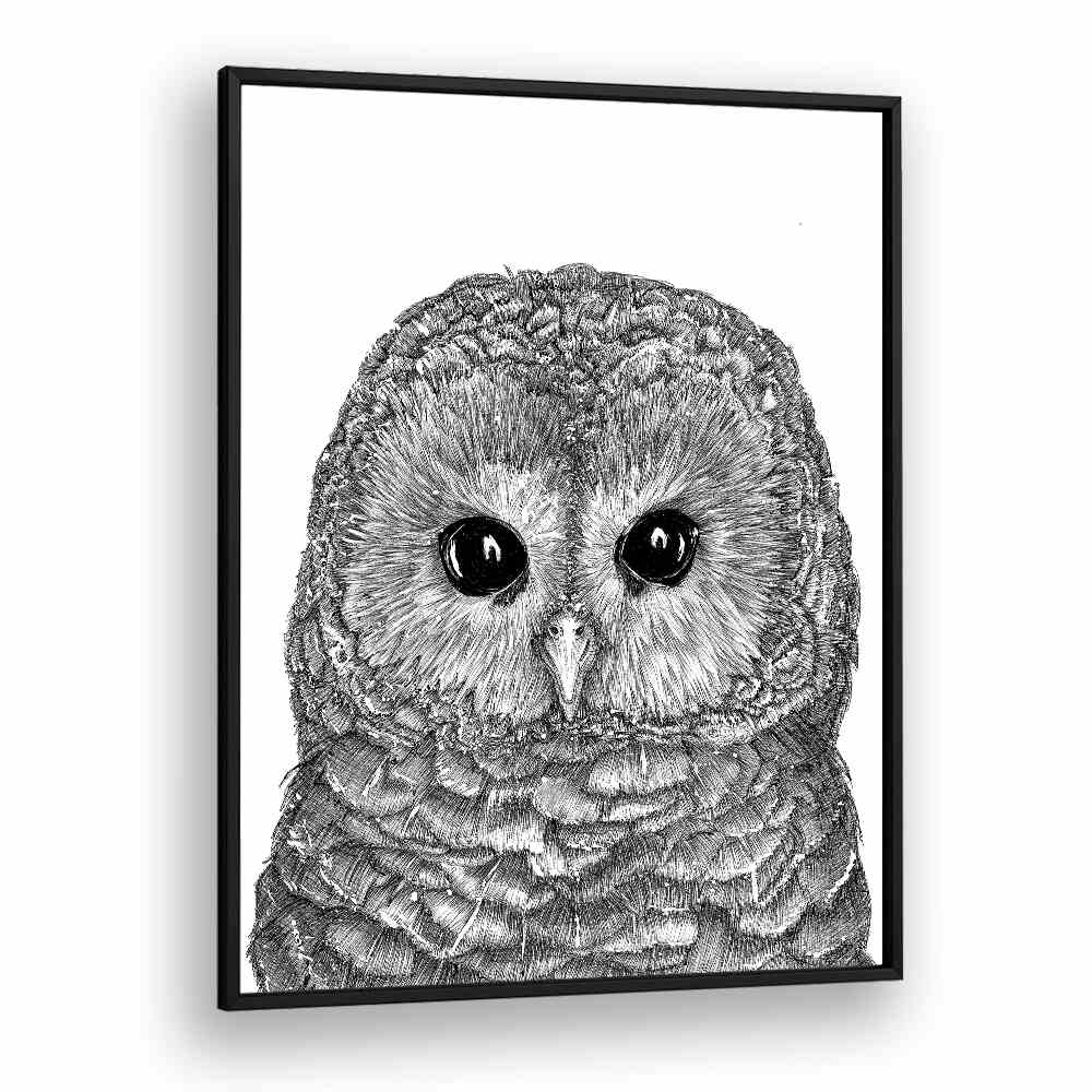 little owl duvet Vintage paintings in Black Plain Frame