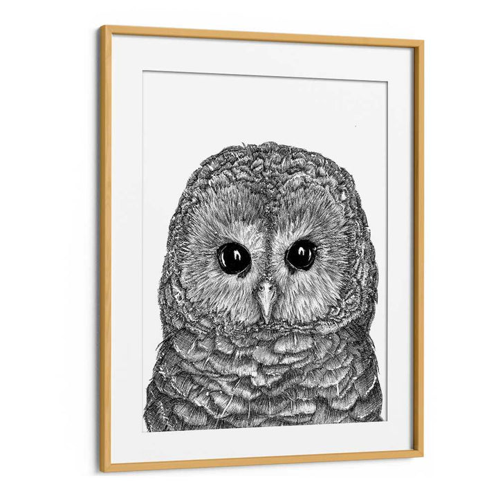 little owl duvet Vintage paintings in Oak Wood Frame With Mount