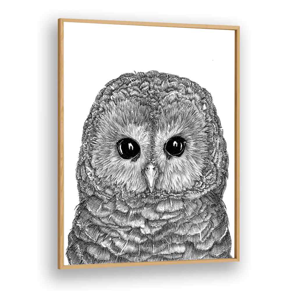 little owl duvet Vintage paintings in Oak Wood Plain Frame