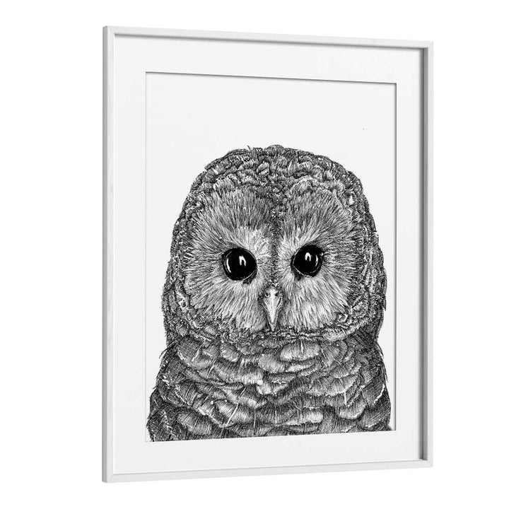 little owl duvetVintage paintings in White Frame With Mount