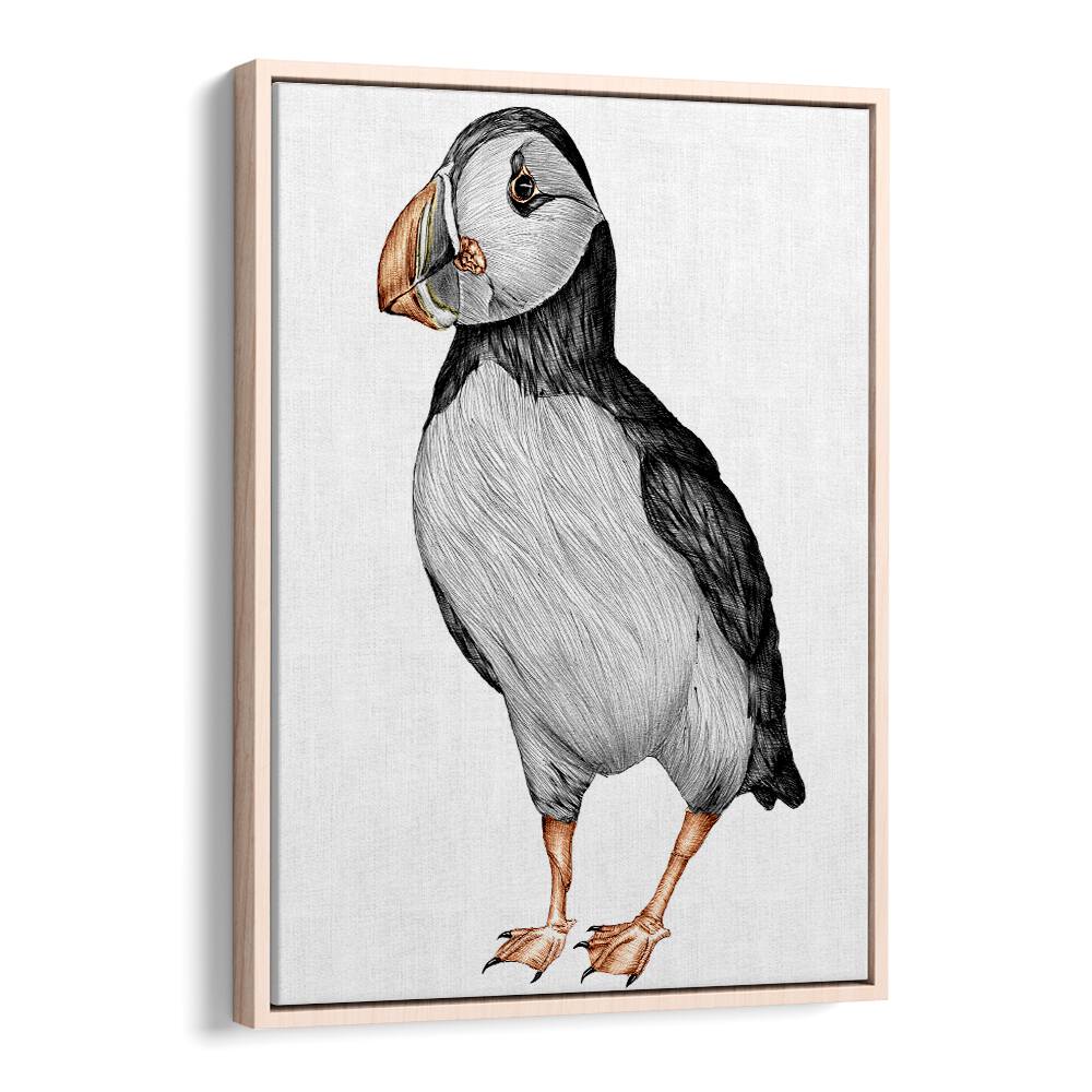 little puffin Vintage paintings in Oak Wood Floater Frame