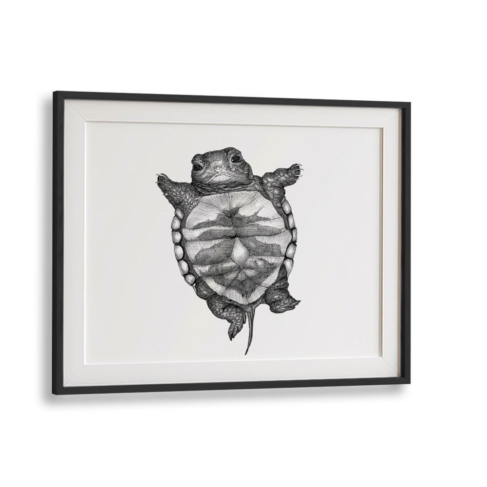 little turtle large Wildlife paintings in Black Frame With Mount