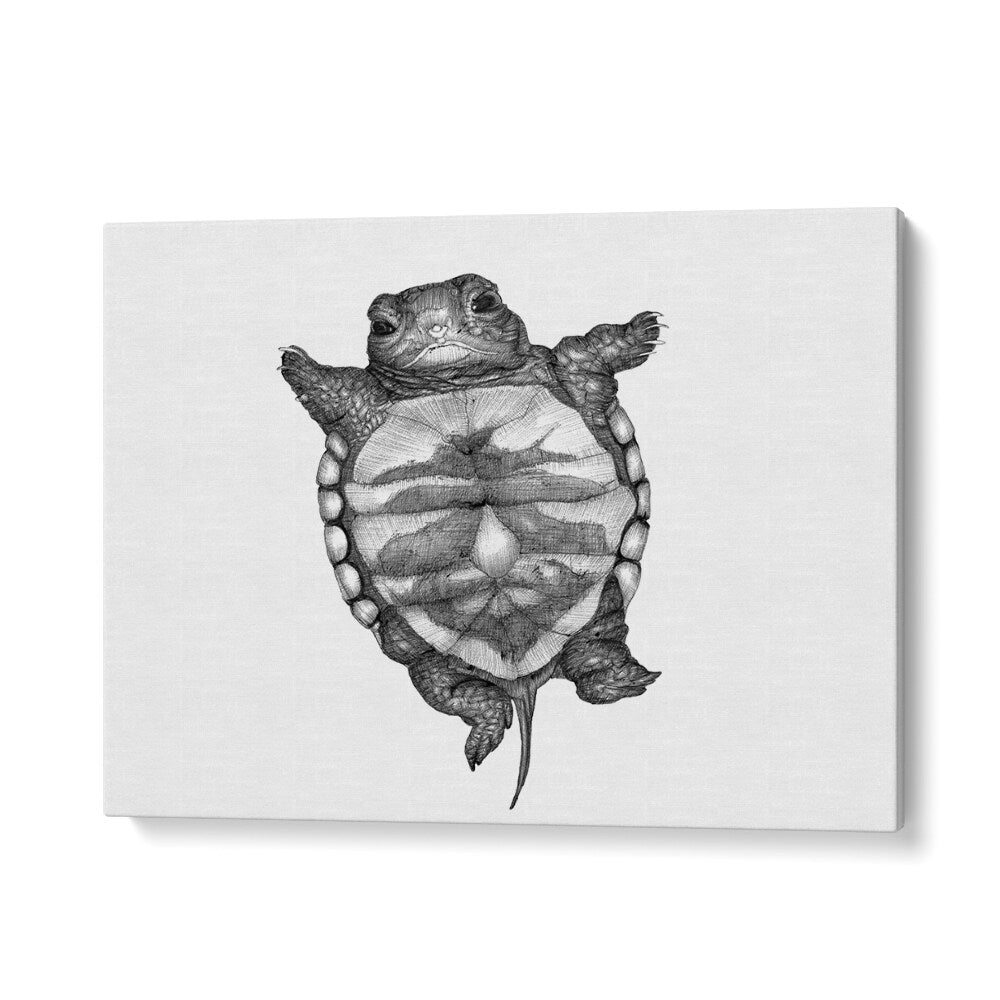 little turtle large Wildlife paintings in Gallery Wrap