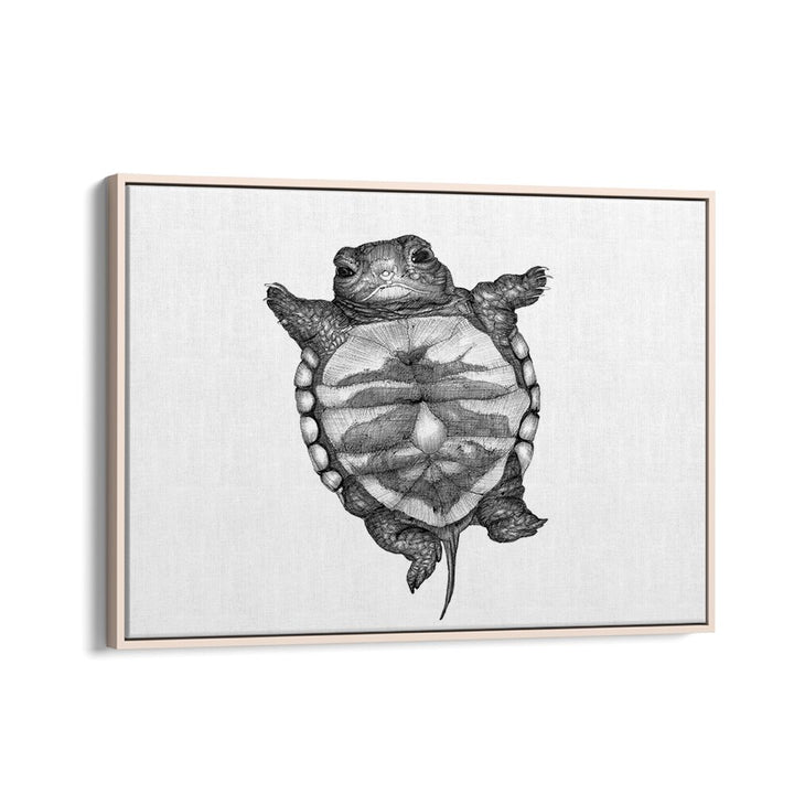 little turtle large Wildlife paintings in Oak Wood Floater Frame