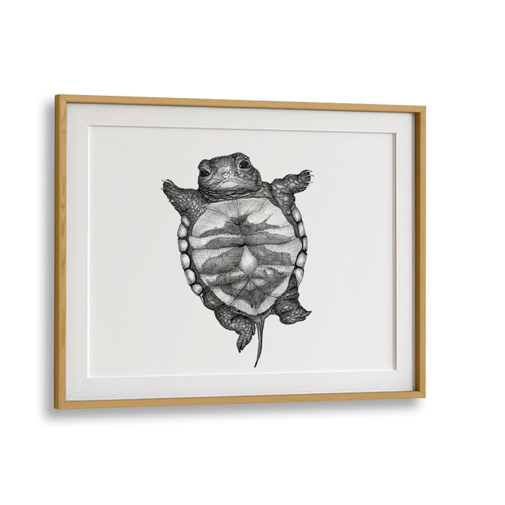 little turtle large Wildlife paintings in Oak Wood Frame With Mount