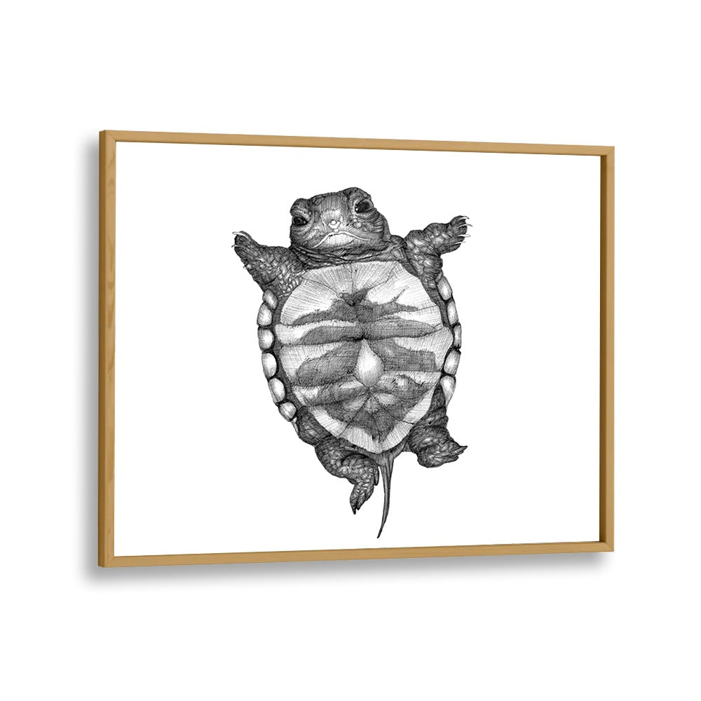 little turtle large Wildlife paintings in Oak Wood Plain Frame