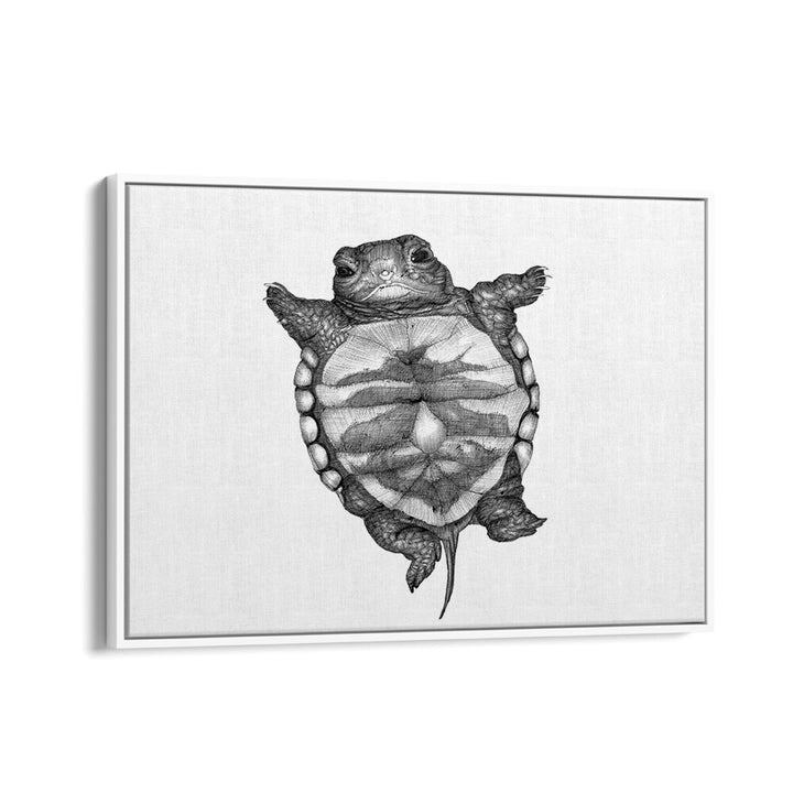 little turtle large Wildlife paintings in White Floater Frame