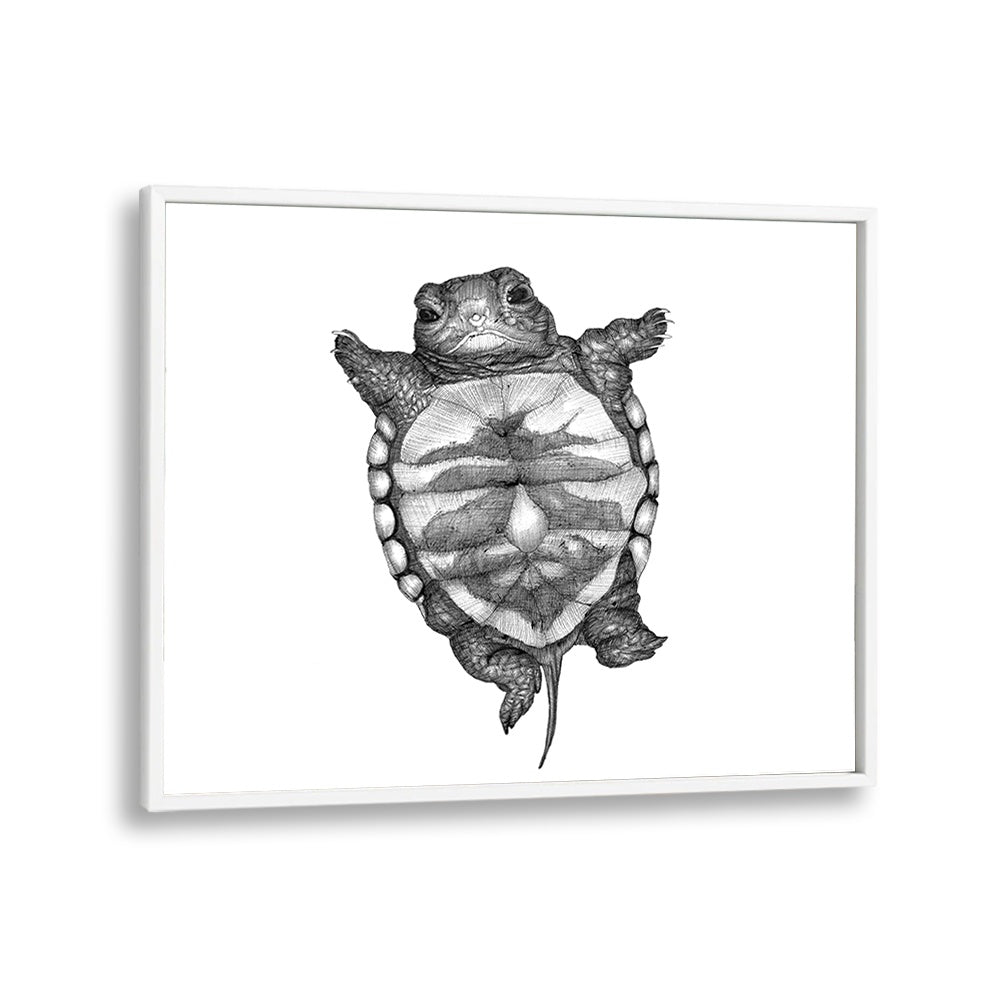 little turtle large Wildlife paintings in White Plain Frame