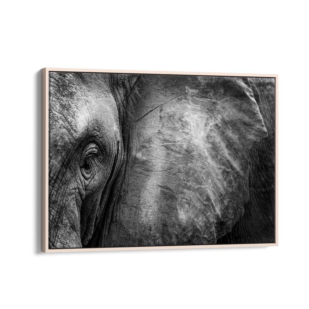 PHOTOGRAPHY painting - ELEPHANT FACE by Asianmonk