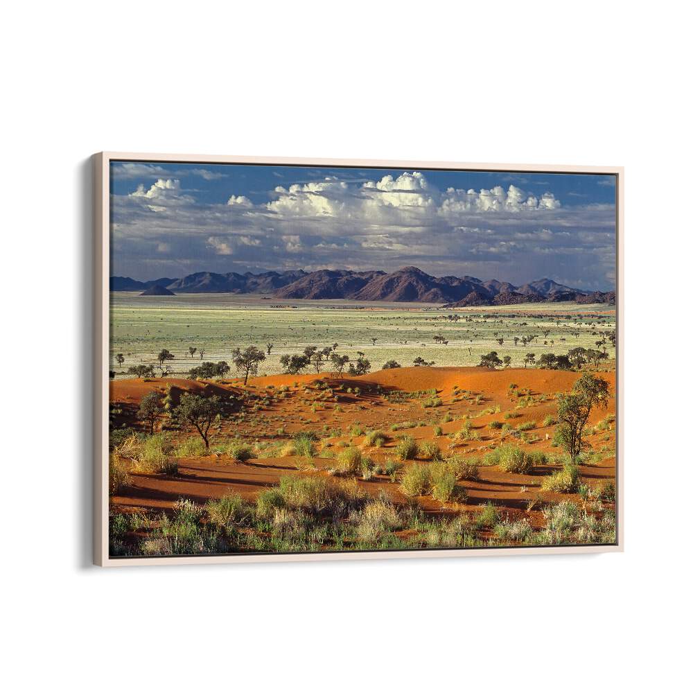 PHOTOGRAPHY painting - TOK TOKKIE DESERT by Asianmonk