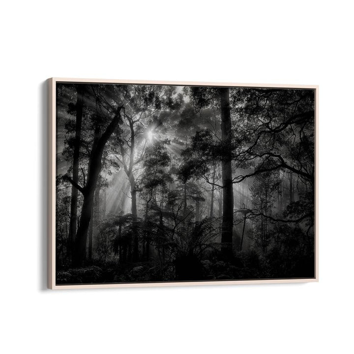 PHOTOGRAPHY painting - PRIMARY FOREST by Asianmonk