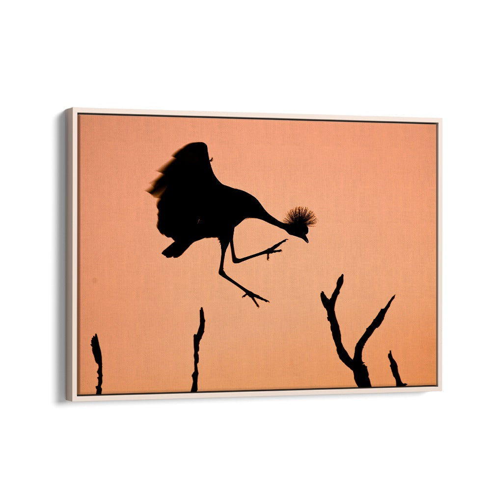 PHOTOGRAPHY painting - Mr. CROWNED CRANE A.K.A TWINKLE TOES by Asianmonk