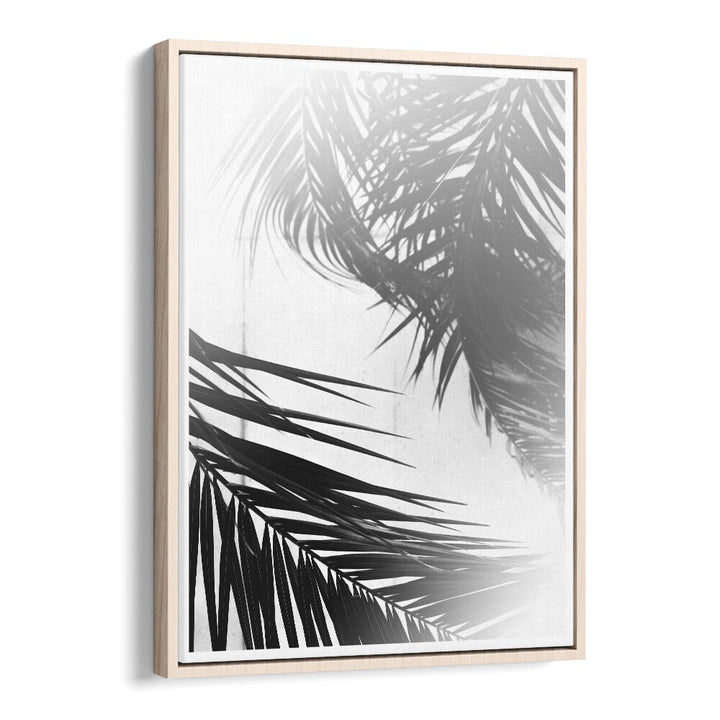 SUMMER PALMS