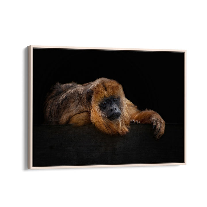 PHOTOGRAPHY painting - I'M BORED - BABOUNE - ALOUATTA MACCONNELLI by Asianmonk