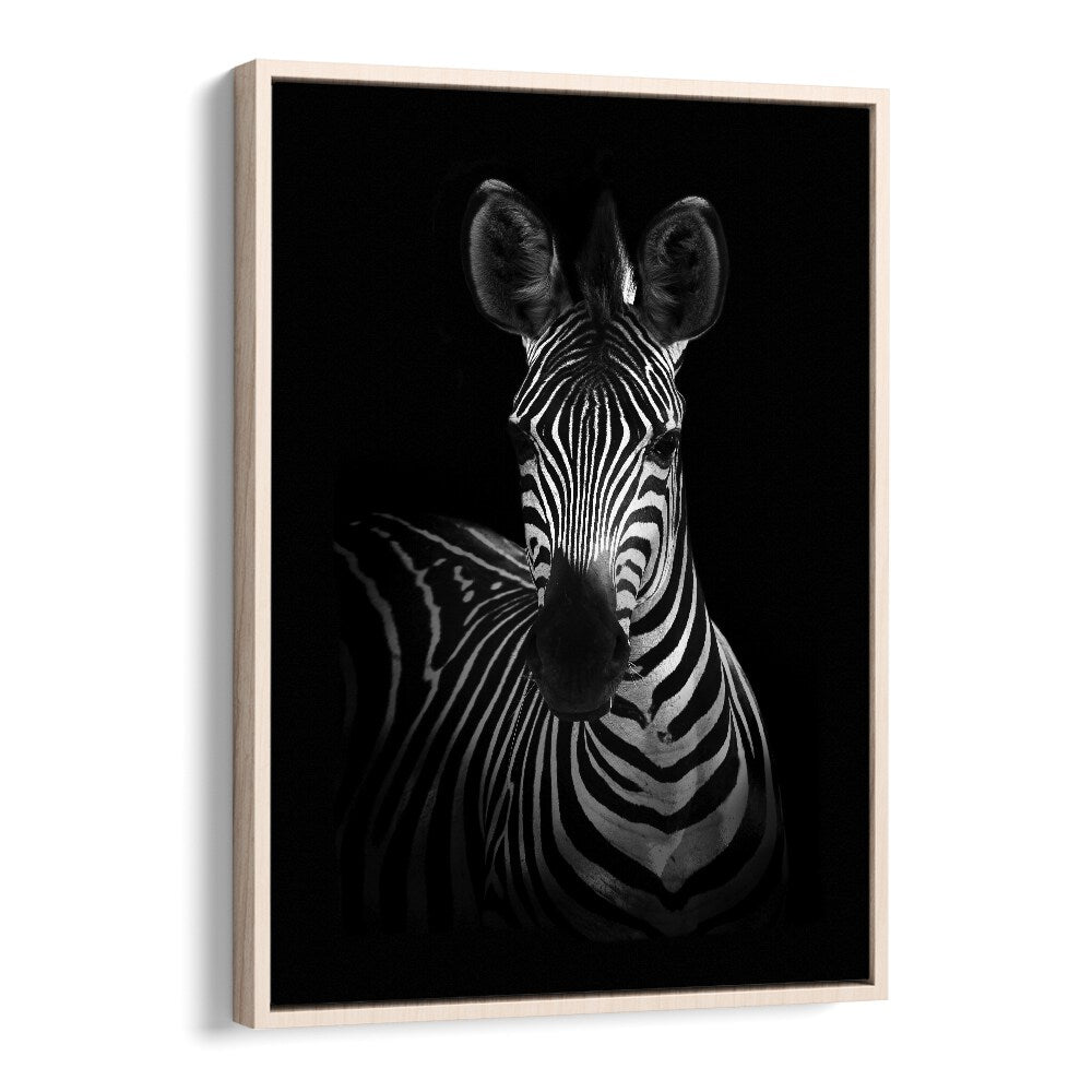 Christian Meermann painting - THE ZEBRA I by Asianmonk