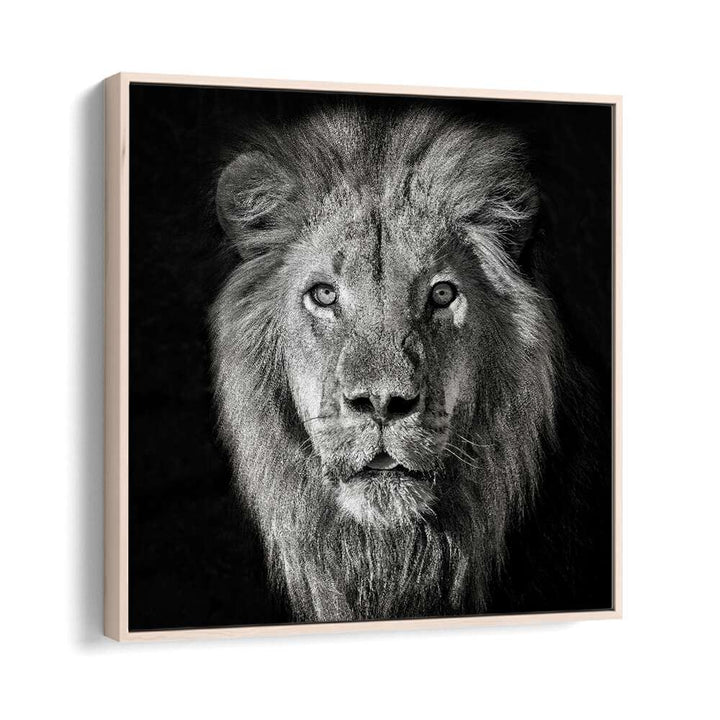 chre painting - LION PORTRAIT- PANTHERA LEO by Asianmonk