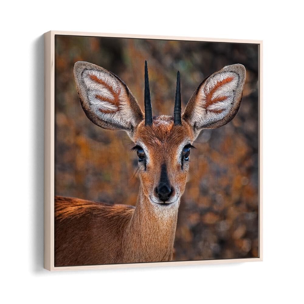 chre painting - STEENBOK by Asianmonk