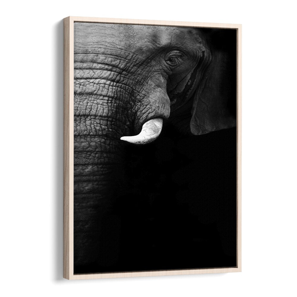 WILD PHOTO ART painting - ELEPHANT PORTRAIT by Asianmonk