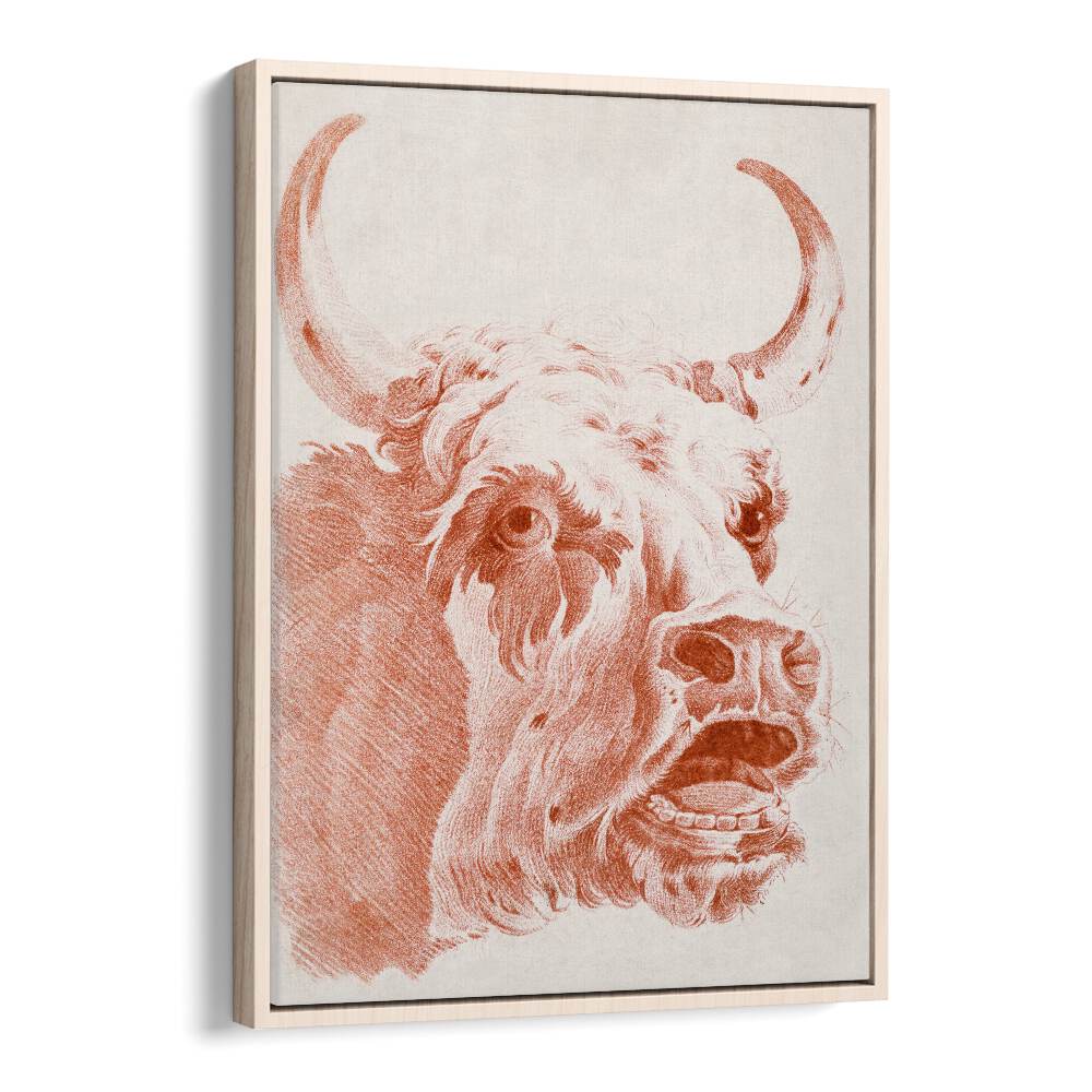 HEAD OF A COW (CA.1778)