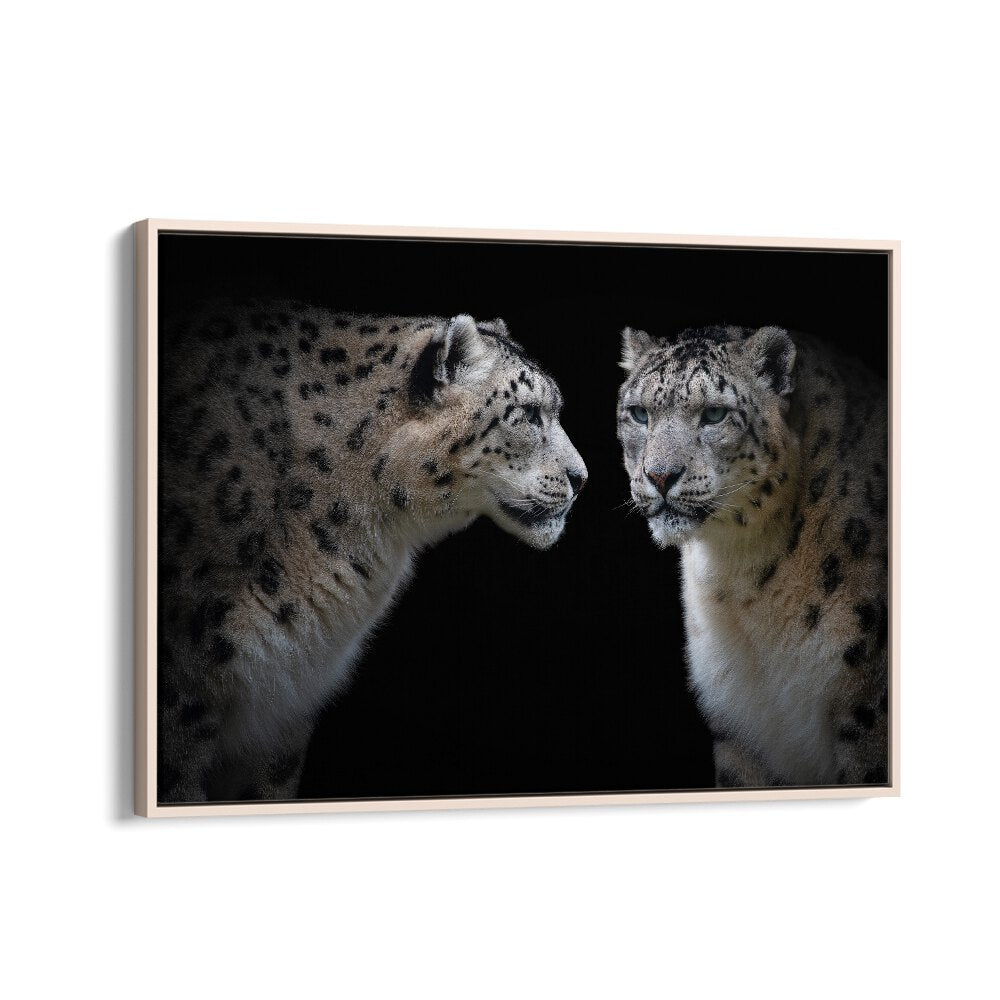 PHOTOGRAPHY painting - LIKE A MIRROR - PANTHERA UNCIA by Asianmonk