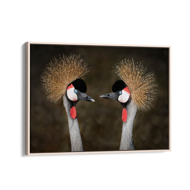 PHOTOGRAPHY painting - GREY CROWNED CRANES APPOINTMENT by Asianmonk