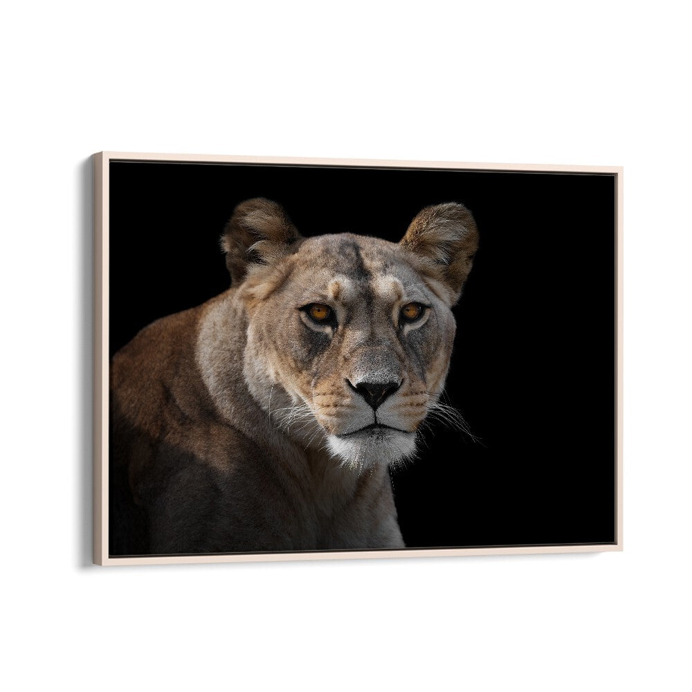 PHOTOGRAPHY painting - LIONESS PORTRAIT by Asianmonk