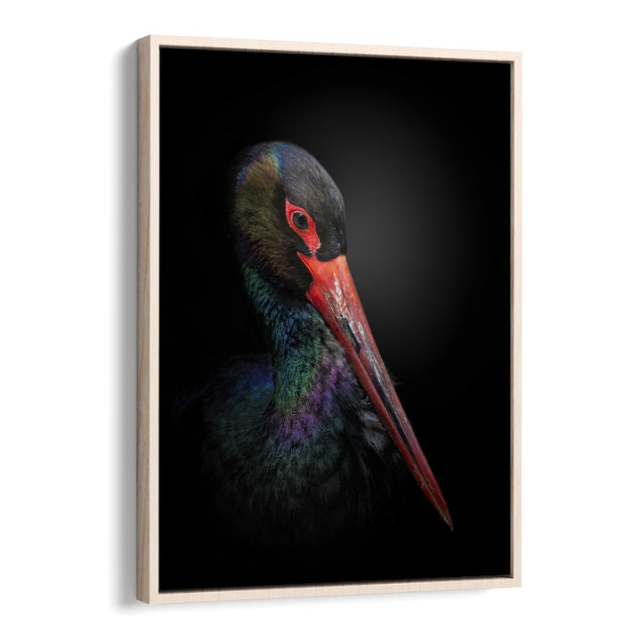 THE BLACK STORK