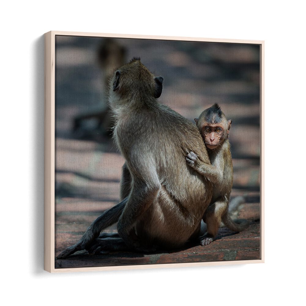 chre painting - BABY MONKEY by Asianmonk