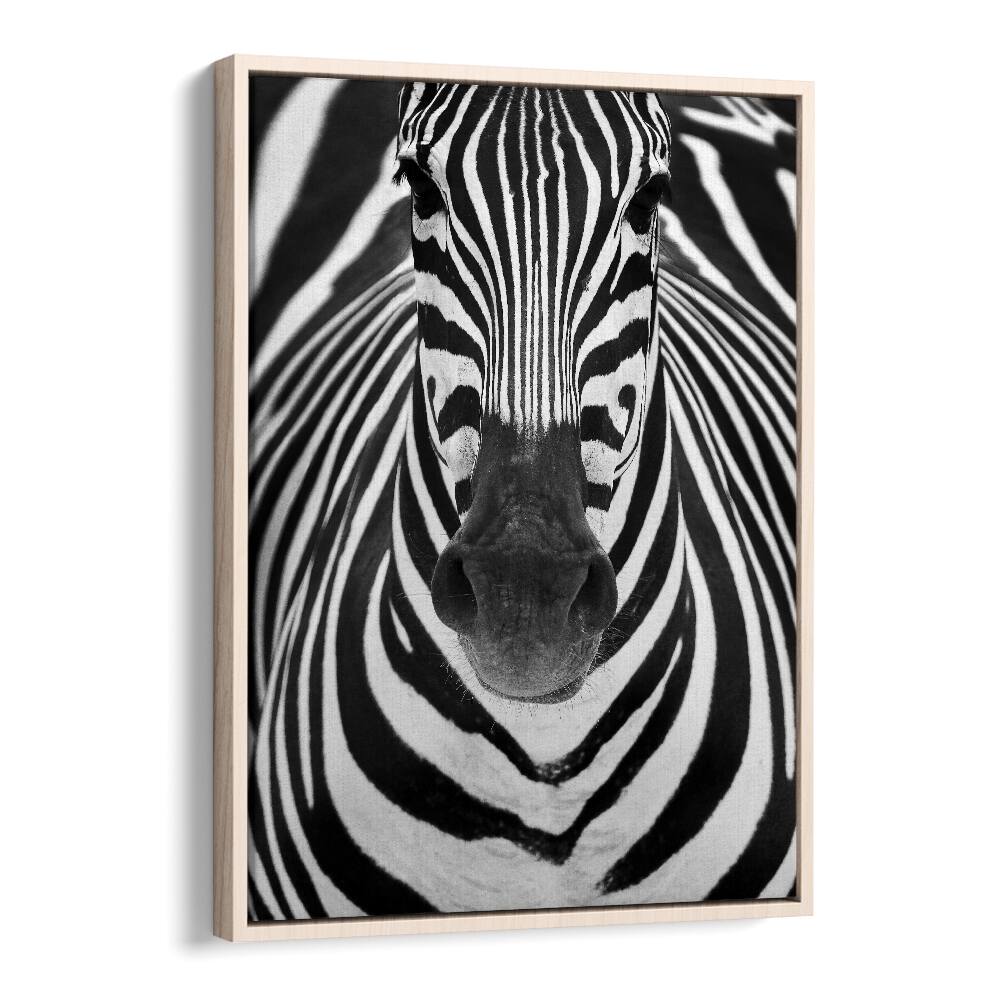 Christian Meermann painting - ZEBRA by Asianmonk