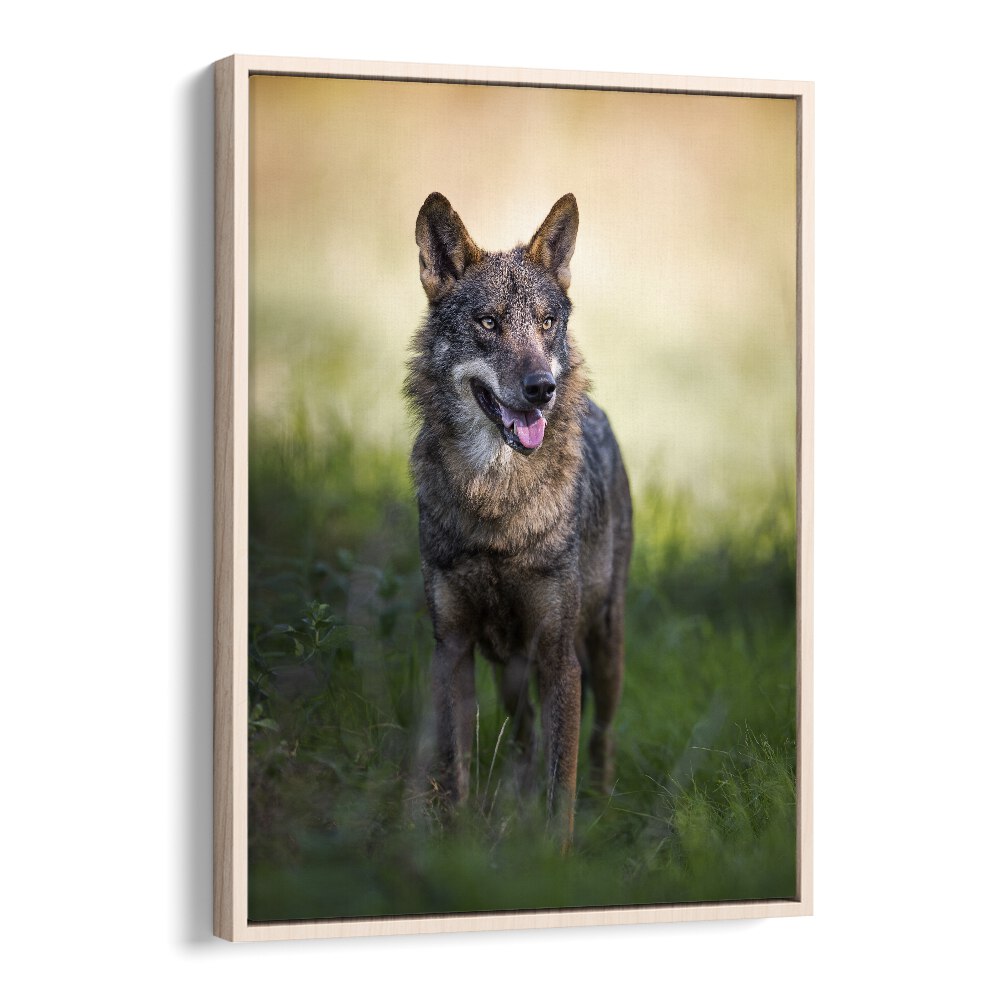 Christian Meermann painting - CANIS LUPUS SIGNATUS by Asianmonk