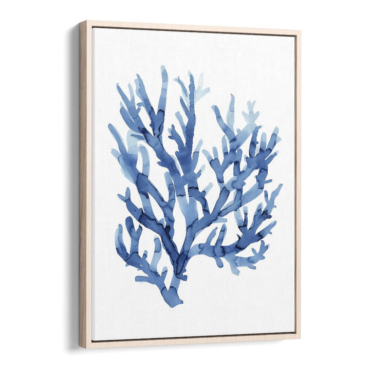 MARINE BOTANICALS I