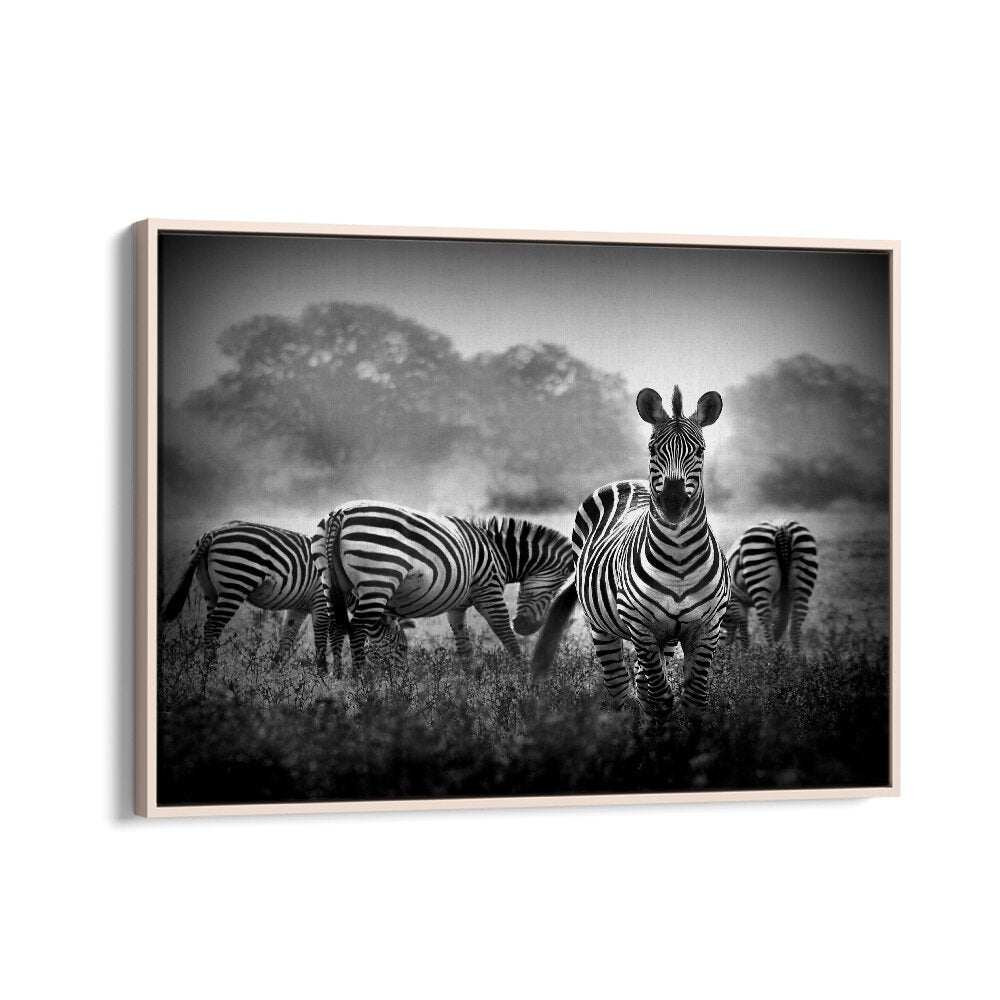 PHOTOGRAPHY painting - STALLION IN A PIN STRIPE SUIT by Asianmonk