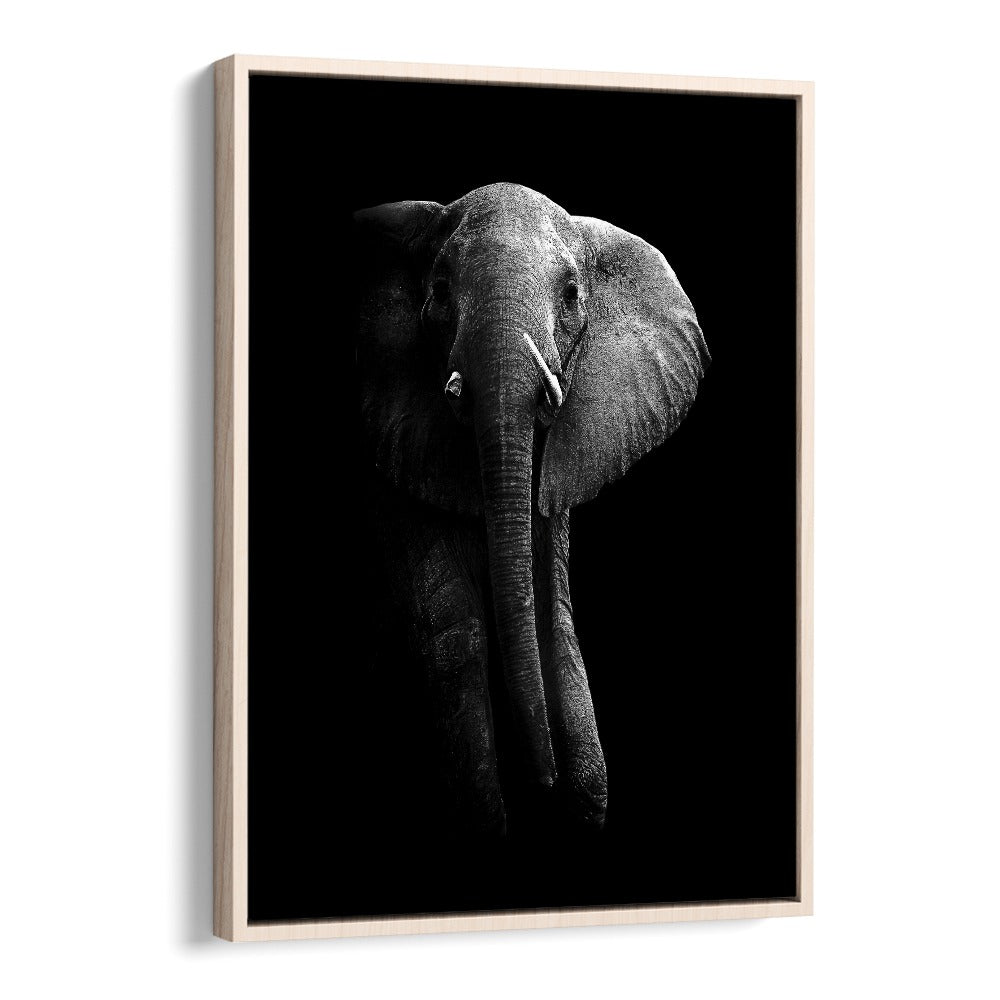 WILD PHOTO ART painting - ELEPHANT III by Asianmonk