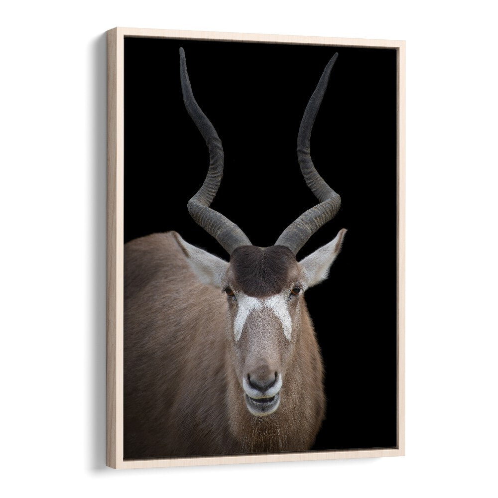 Christian Meermann painting - ADDAX NASOMACULATUS PORTRAIT by Asianmonk