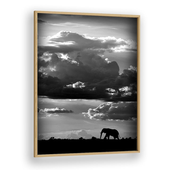 WILD PHOTO ART painting - HE WALKS UNDER AN AFRICAN SKY by Asianmonk