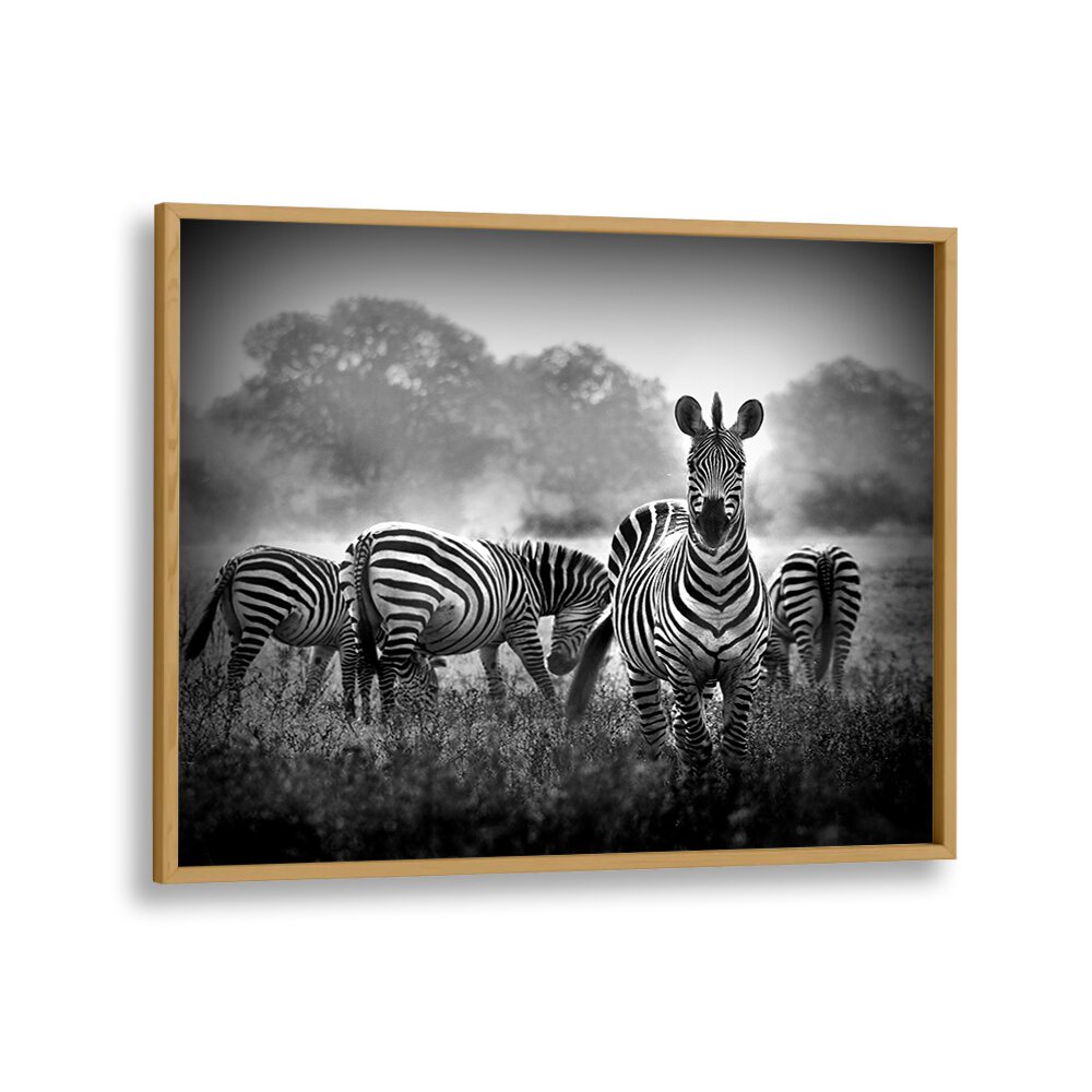 PHOTOGRAPHY painting - STALLION IN A PIN STRIPE SUIT by Asianmonk