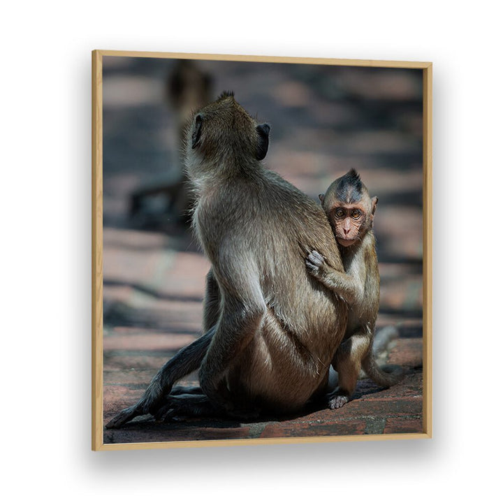 chre painting - BABY MONKEY by Asianmonk