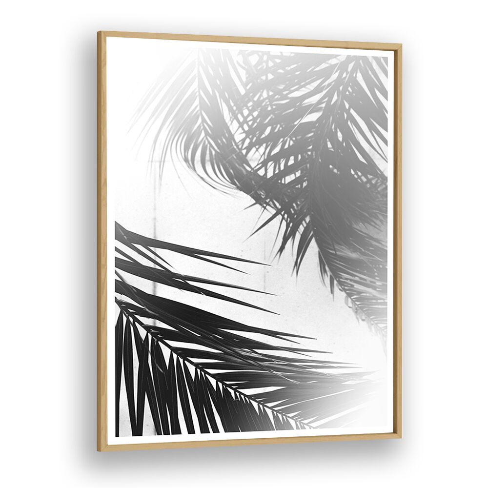 SUMMER PALMS