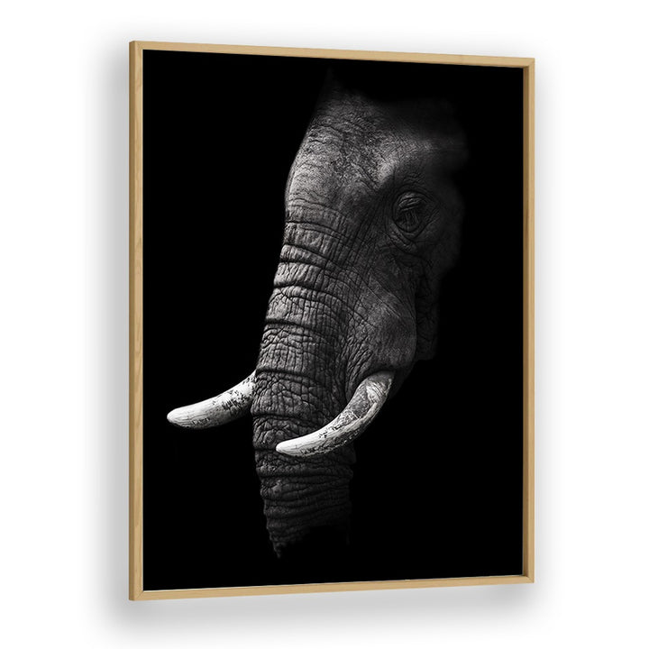 WILD PHOTO ART painting - PORTRAIT OF A ELEPHANT by Asianmonk