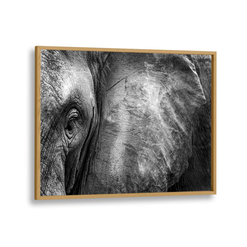 PHOTOGRAPHY painting - ELEPHANT FACE by Asianmonk