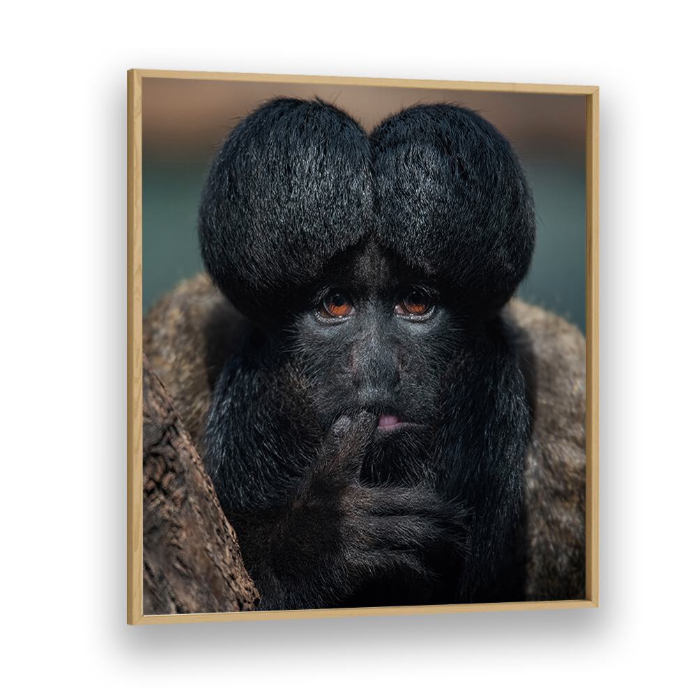 chre painting - RED-BACKED BEARDED SAKI PORTRAIT - CHIROPOTES II by Asianmonk