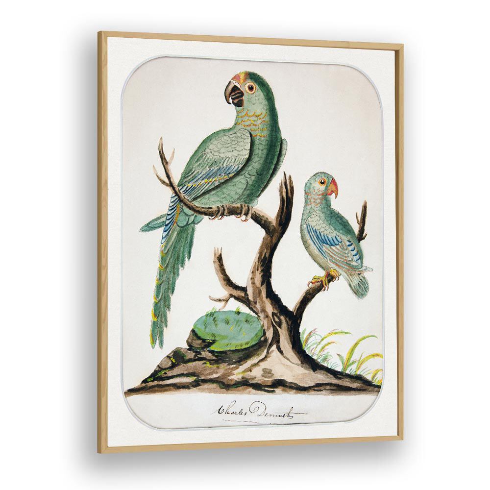 TWO PARROTS ON A BARREN TREE (CA.1916)