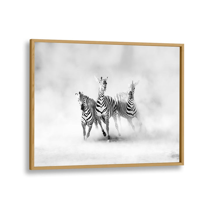 ABSTRACT painting - ZEBRAS by Asianmonk