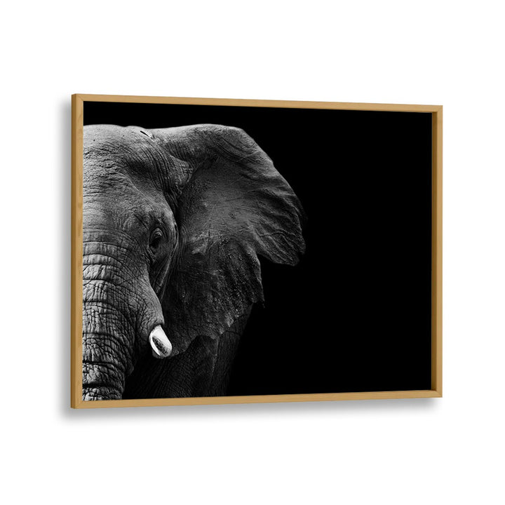 PHOTOGRAPHY painting - ELEPHANT by Asianmonk