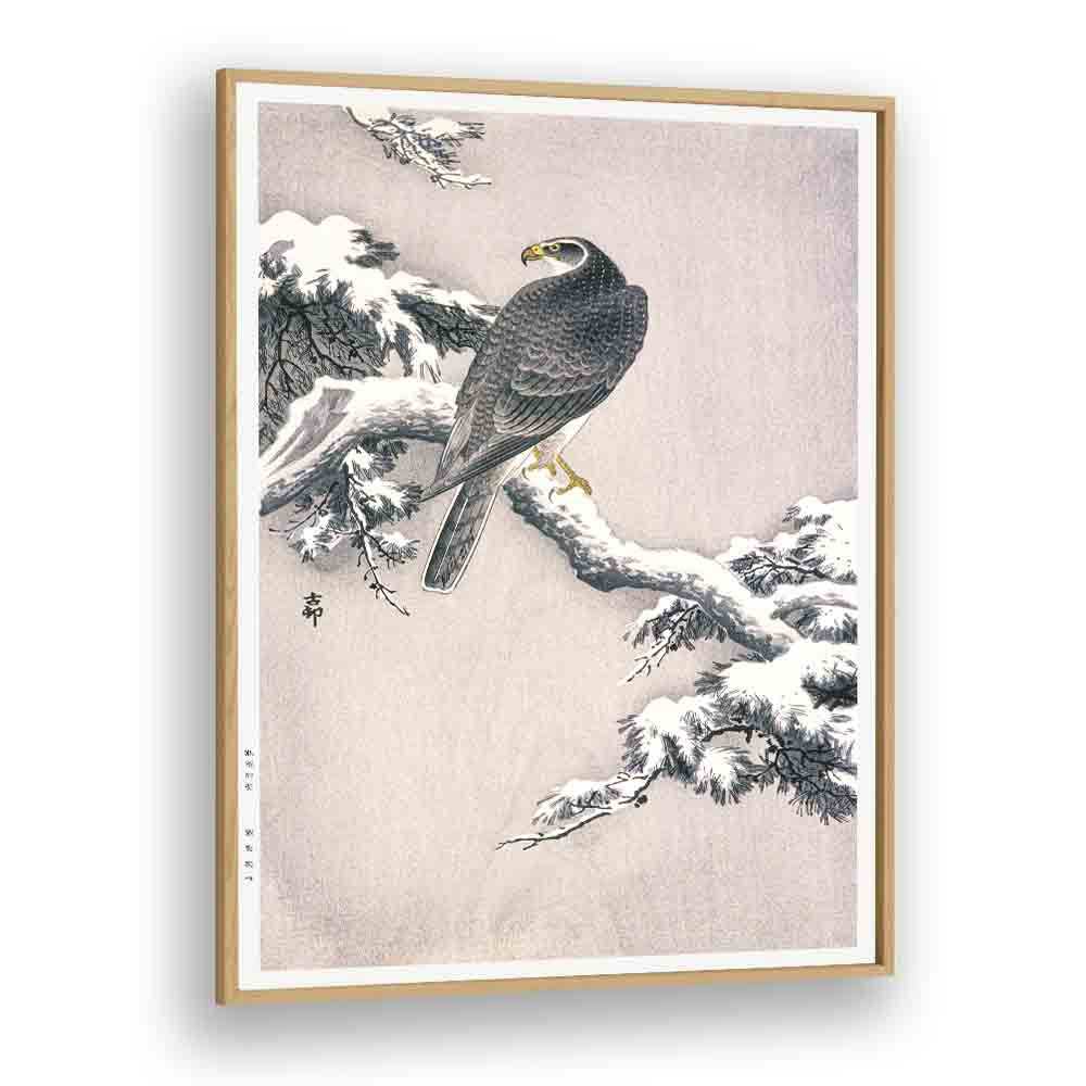 GOSHAWK ON SNOW-COVERED PINE BOUGH BY OHARA KOSON (1877–1945)