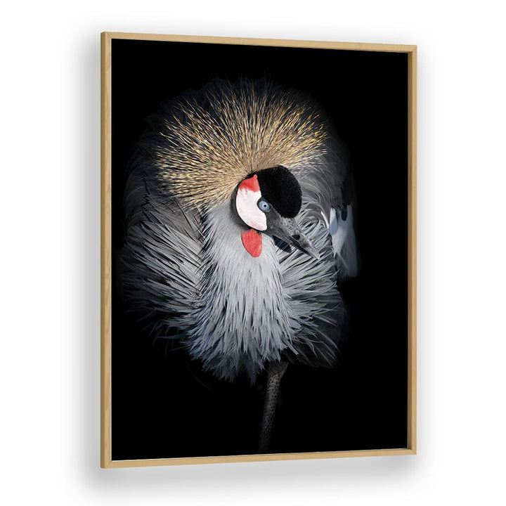 Christian Meermann painting - GREY CROWNED CRANE PORTRAIT by Asianmonk