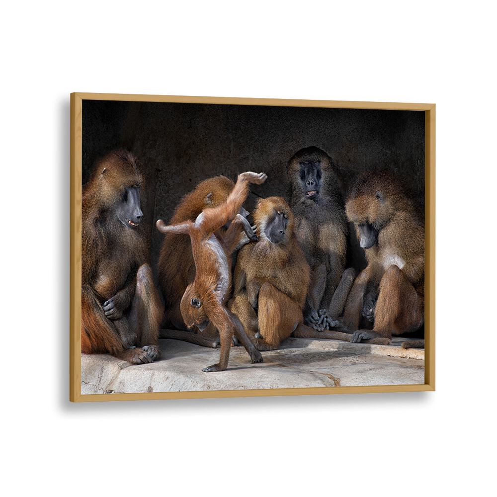 PHOTOGRAPHY painting - FAMILY SCENE - PAPIO PAPIO by Asianmonk