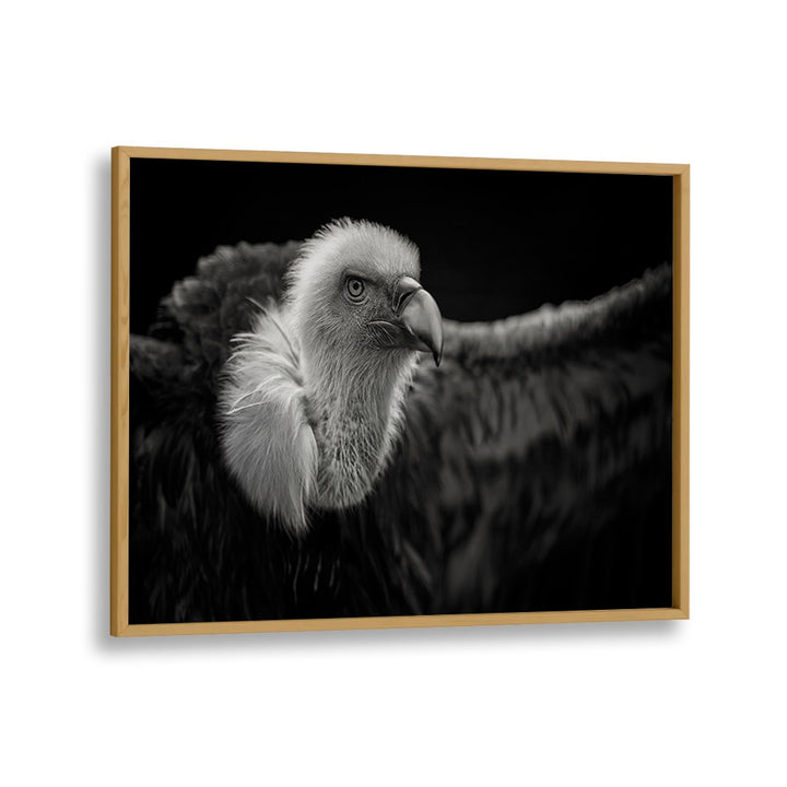 PHOTOGRAPHY painting - GRIFFON VULTURE by Asianmonk